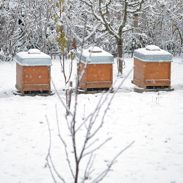 Bienenbeuten im Schnee